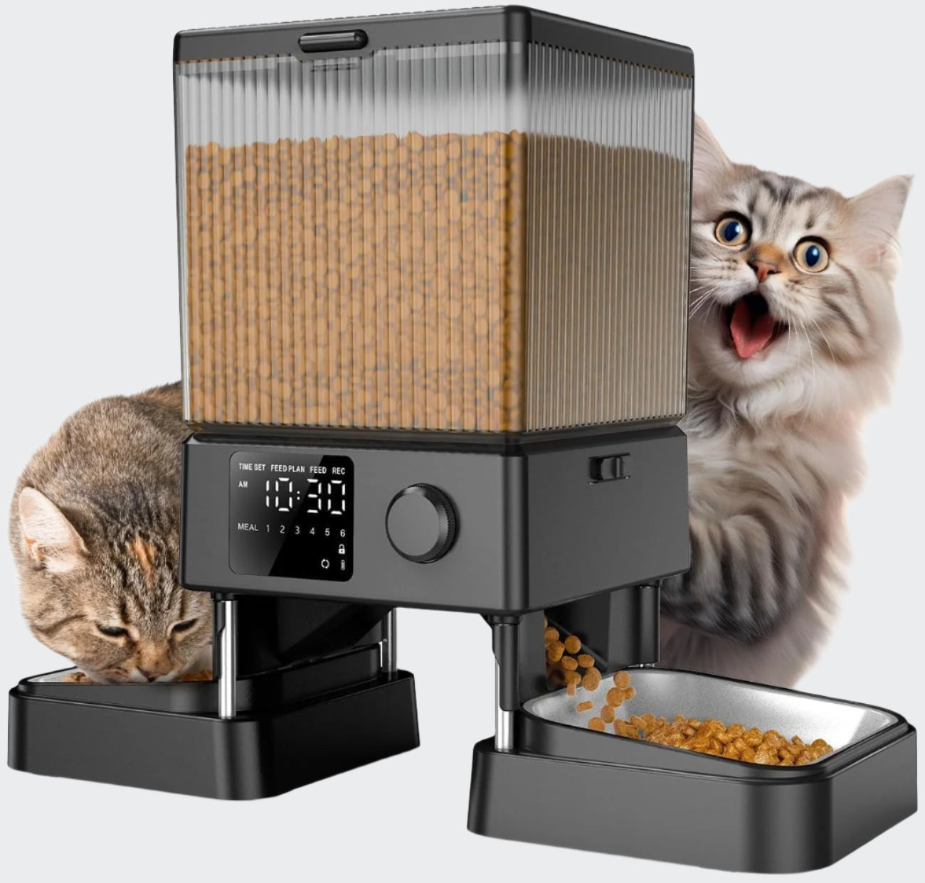 Automatic Cat Feeder