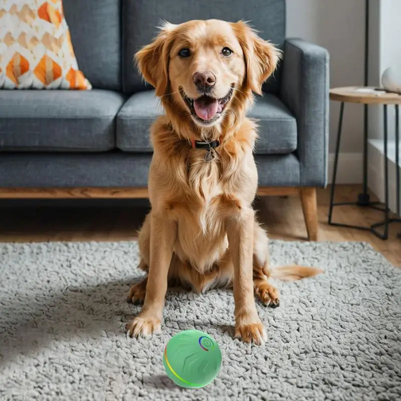 Automatic Bouncing Ball