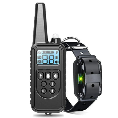 Dog Training Collar