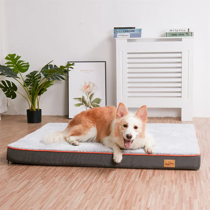 Premium Large Orthopedic Dog Bed
