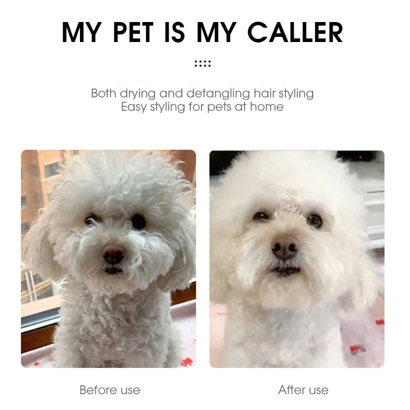 Pet Hair Dryer