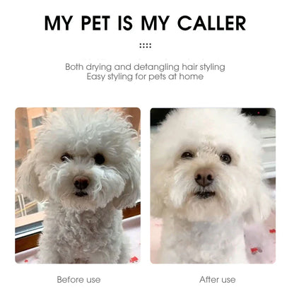 Pet Hair Dryer