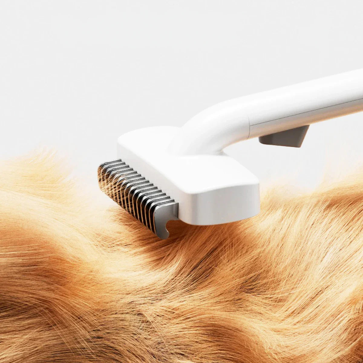 Dog Grooming Tool