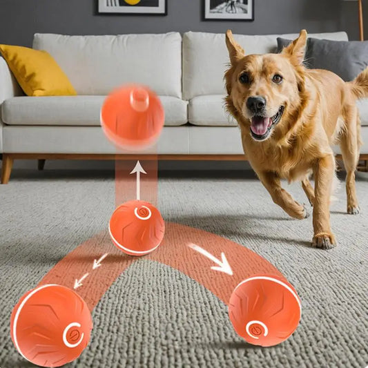 Automatic Bouncing Ball