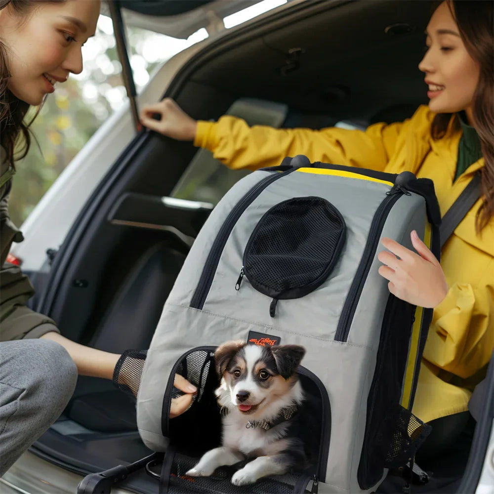 Folding 2 in 1 Pet Stroller
