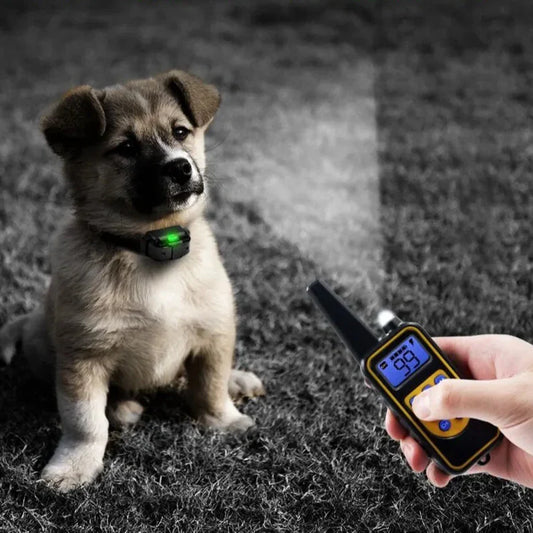 Dog Training Collar